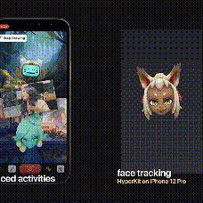 Animoji voice social network for meeting other people