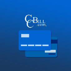 CCBill payment gateway for your online business