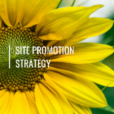 Site promotion strategy - Everyone will find your site with the help of SEO audit, UX analysis, keyword planning